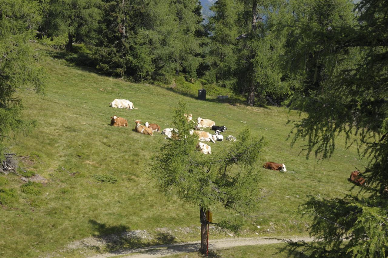 Chaletdorf-Fanningberg Weisspriach Εξωτερικό φωτογραφία