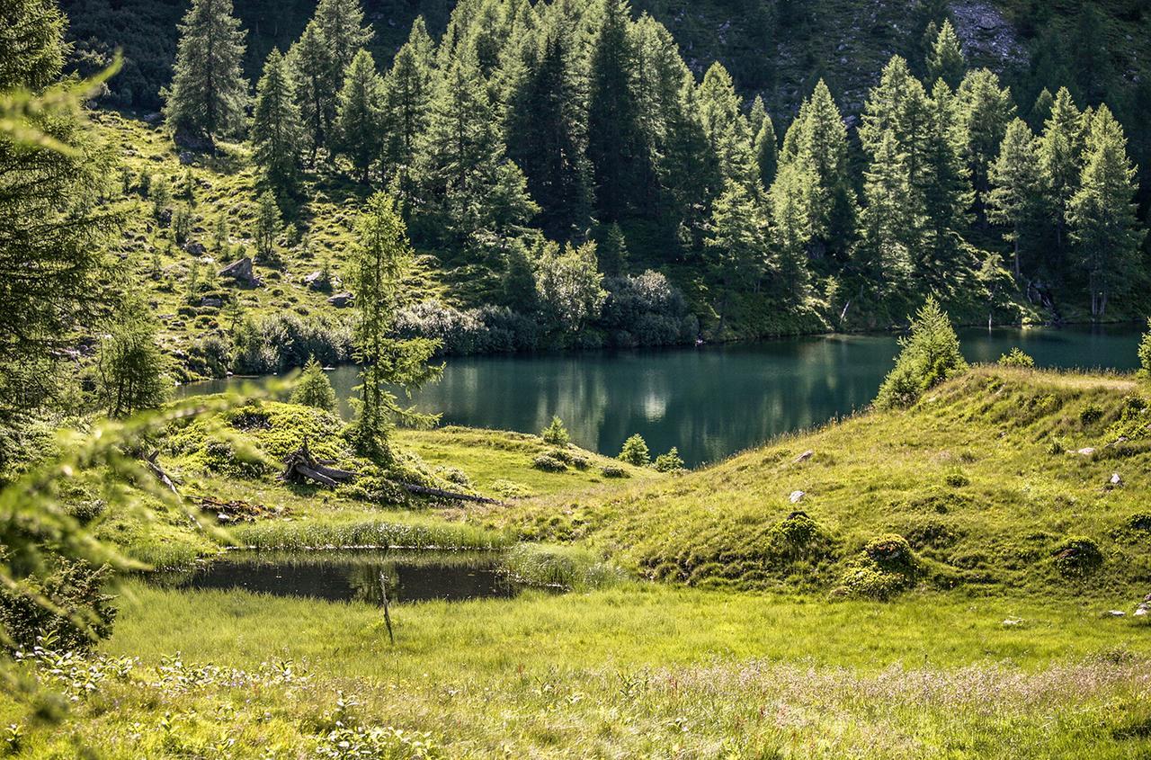 Chaletdorf-Fanningberg Weisspriach Εξωτερικό φωτογραφία
